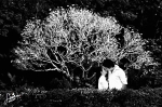 Eco Park